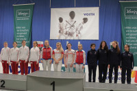 Medallists in teams